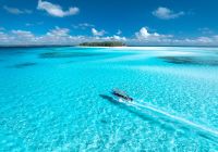 Tanzania zanzibar mnemba island mar