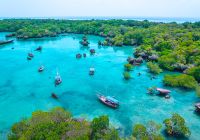 Tanzania zanzibar passeio costa