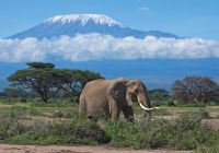 Tanzania