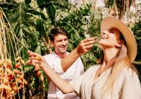 Anantara tozeur oasis experience
