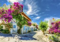 Rua de Brodum, Turquia