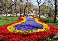Tulipas na primavera do Emirgan Park - Istambul, Turquia.