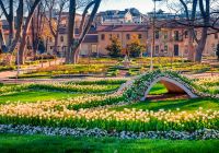 Turquia istambul rosehouse park