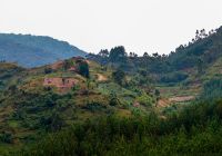 Parque Nacional Bwind, Uganda