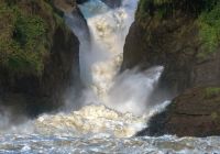 Parque nacional das Cataratas Murchison, Uganda