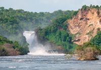 Parque nacional das Cataratas Murchison