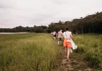 Untamed amazon passeio