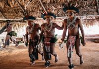 Untamed amazon visita aldeia