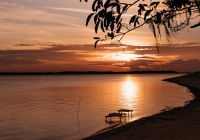Untamed amazon vista rio