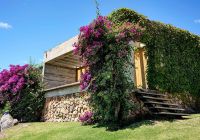 Fasano punta del este uruguai bungalow