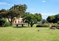 Fasano punta del este uruguai las piedras