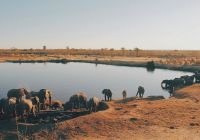 Zimbabue parque nacional hwange lago