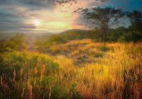 Zimbabue parque nacional matobo