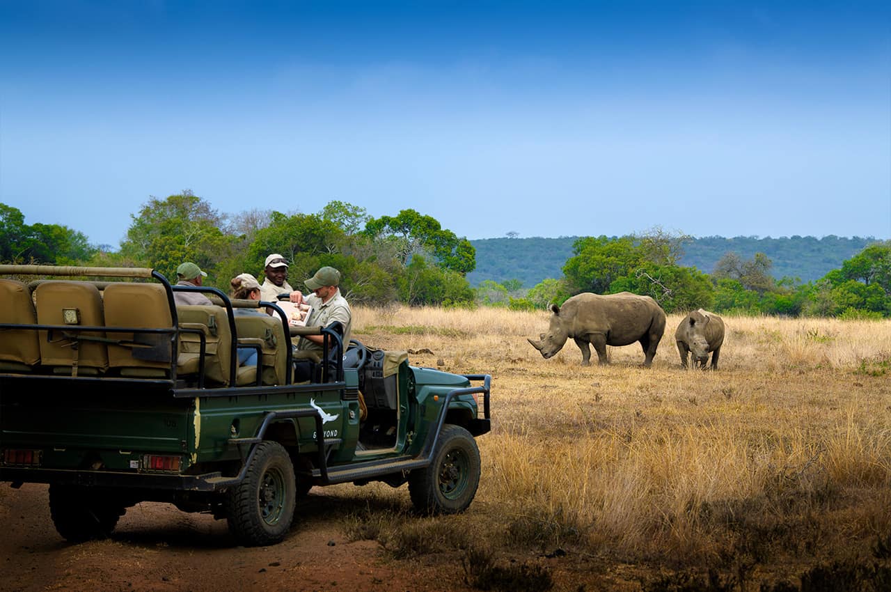 Africadosul reserva phinda andbeyond phindavleilodge rinoceronte