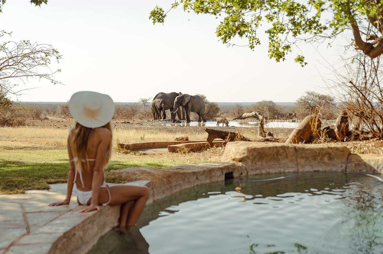 Last word madikwe piscina