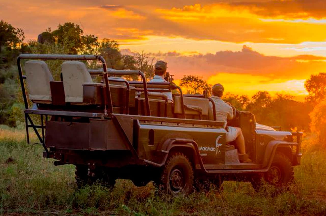 Malamala camp safari carro