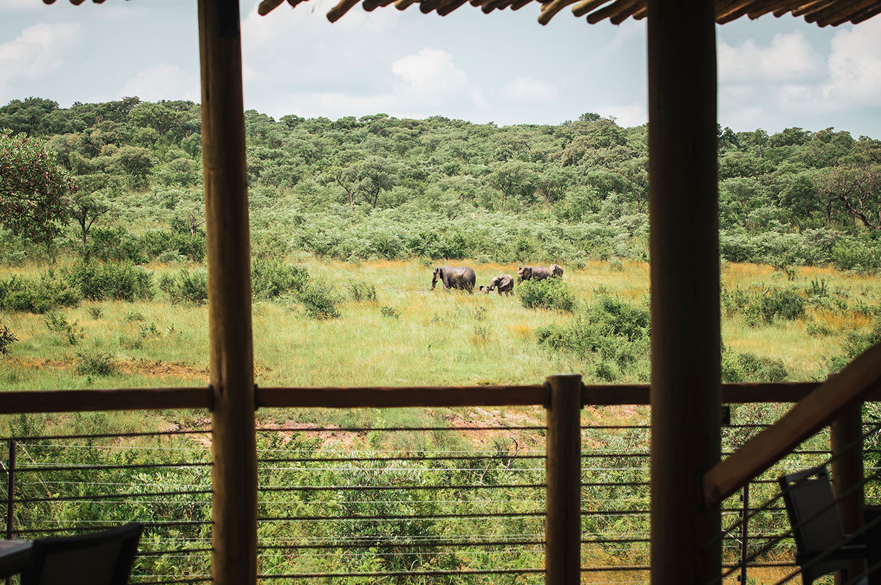Mdluli safari deck area
