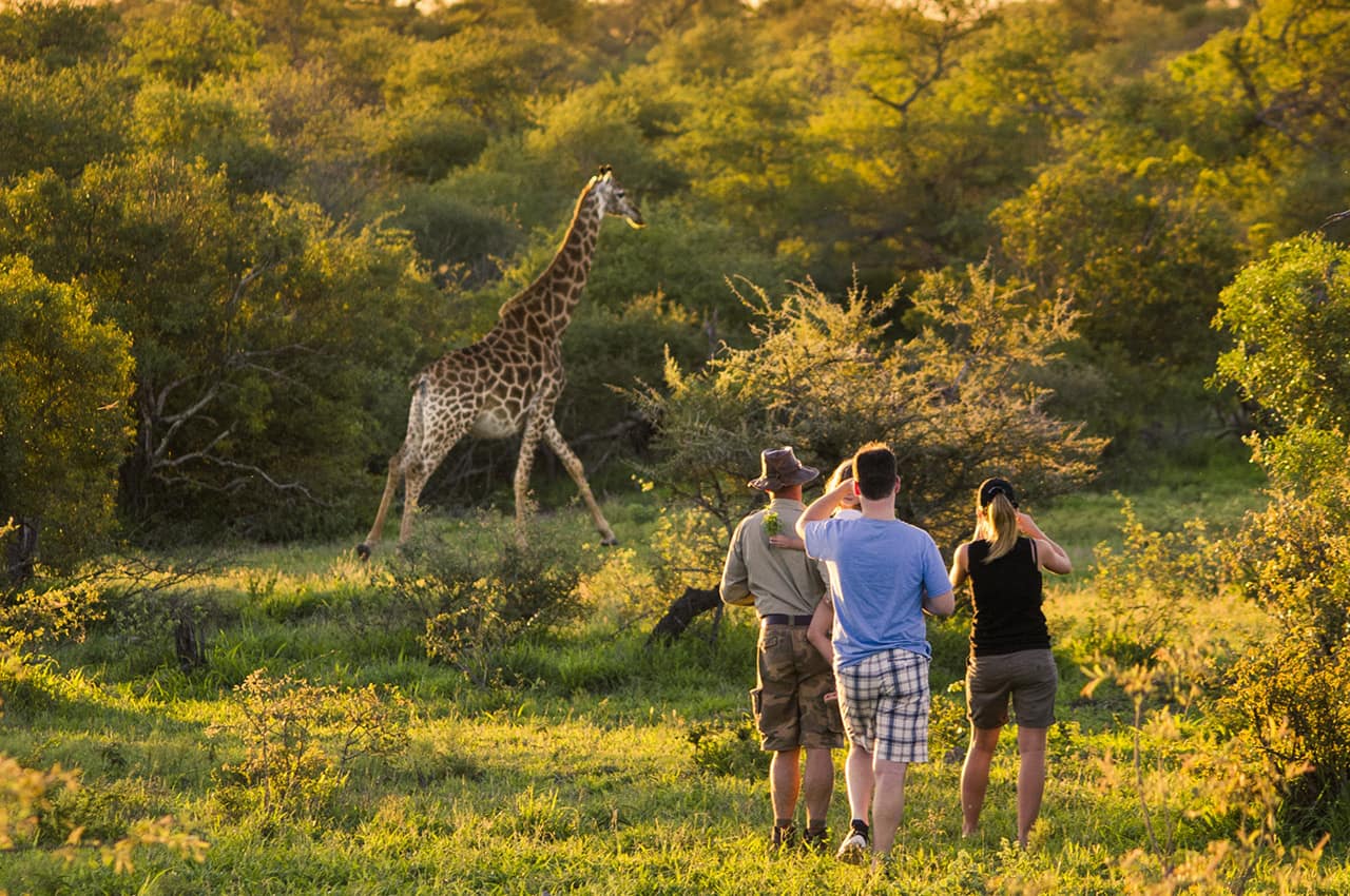 Safári na África do Sul