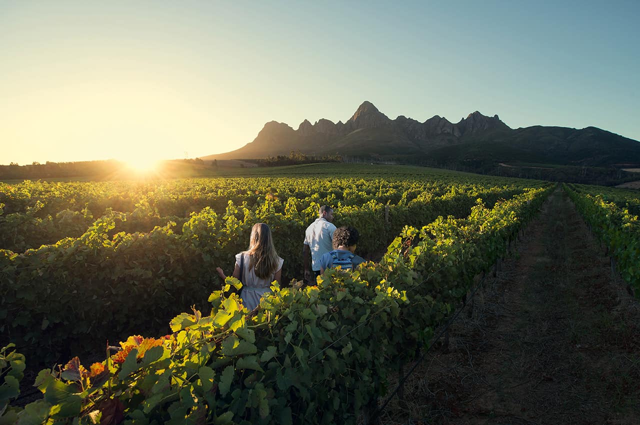 Vinícolas, África do Sul