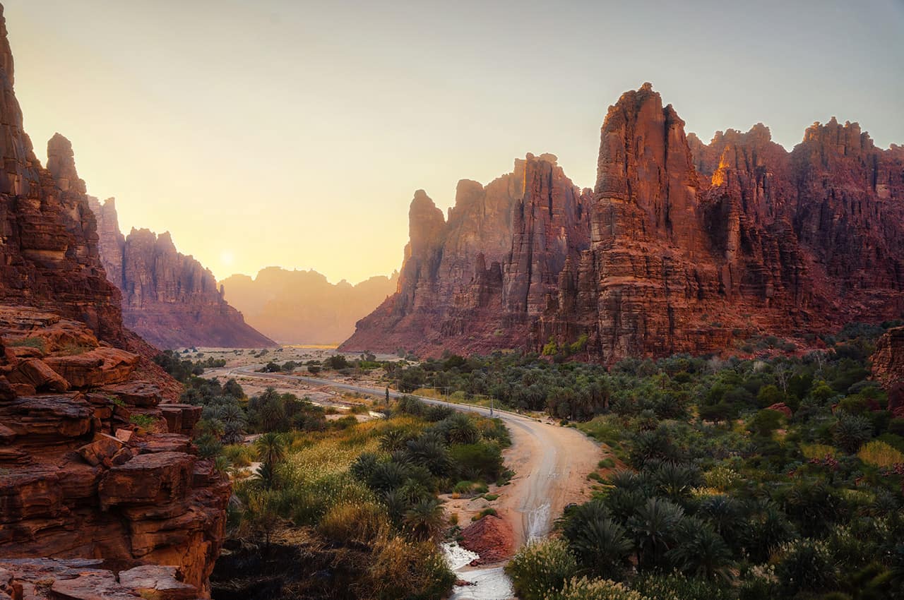 Arabia saudita c nion wadi al disah shutterstock