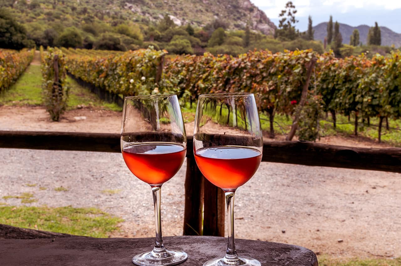 Argentina vinicola cafayate