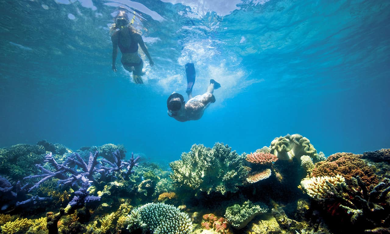 Lizard Island, Grande Barreira de Corais