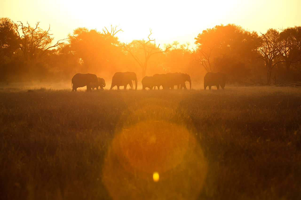 Botswana little machaba sunset