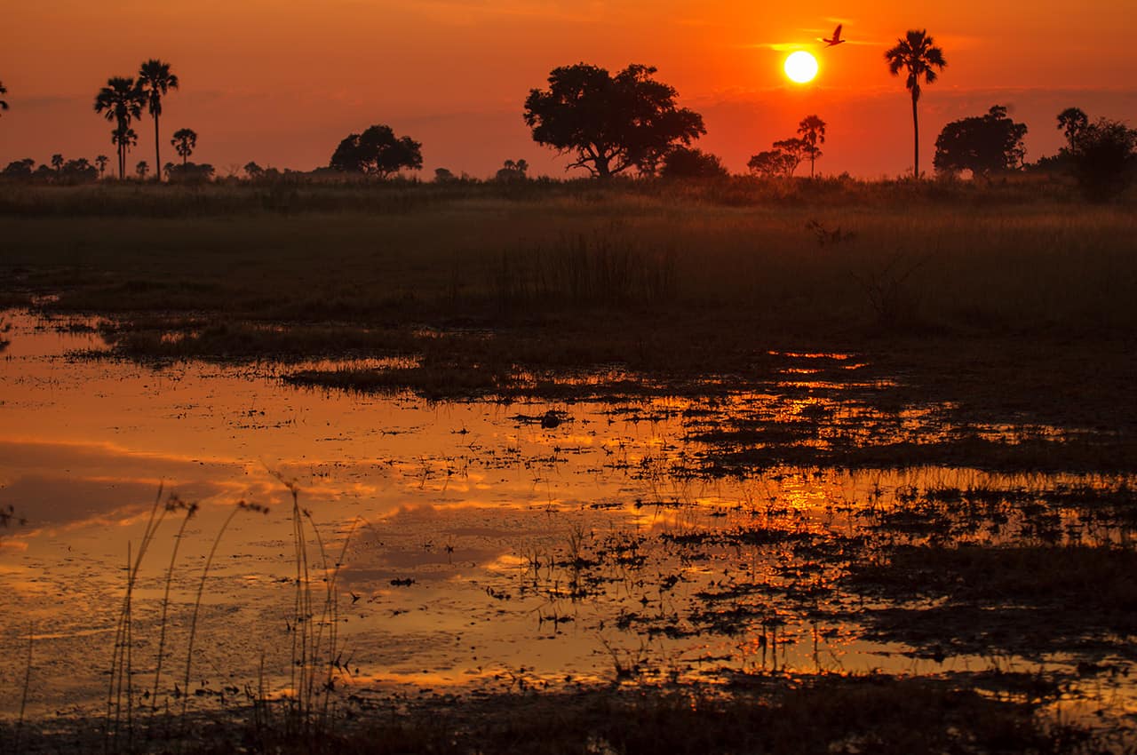 Pôr-do-sol em Botswana