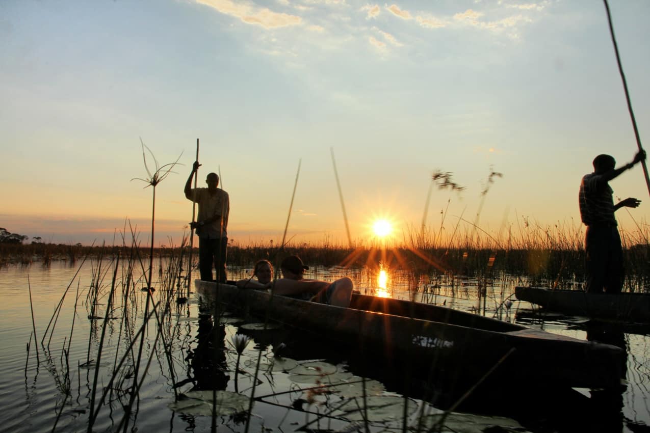 Safári Delta do Okavango Botswana