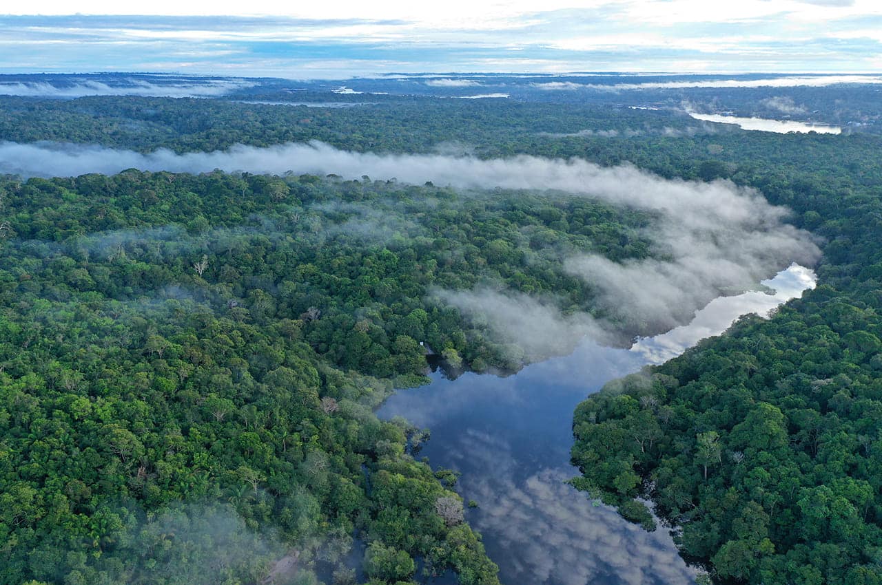 Amazon ecopark e