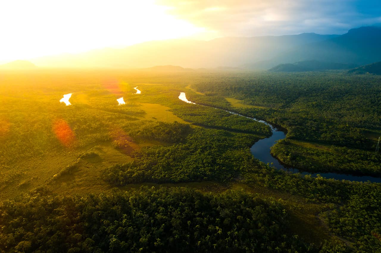 Amazonia vista aerea floresta