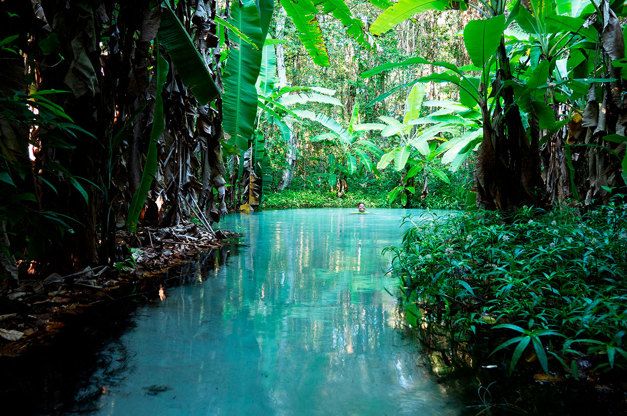Brasil jalapao fervedouro tocantis agua nadar