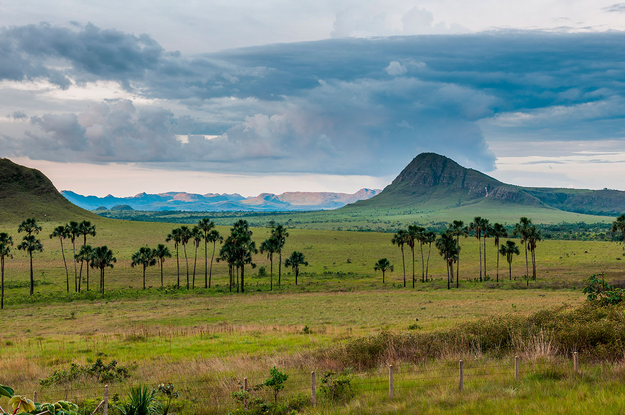 Chapada dos veadeiros goias vista ceu