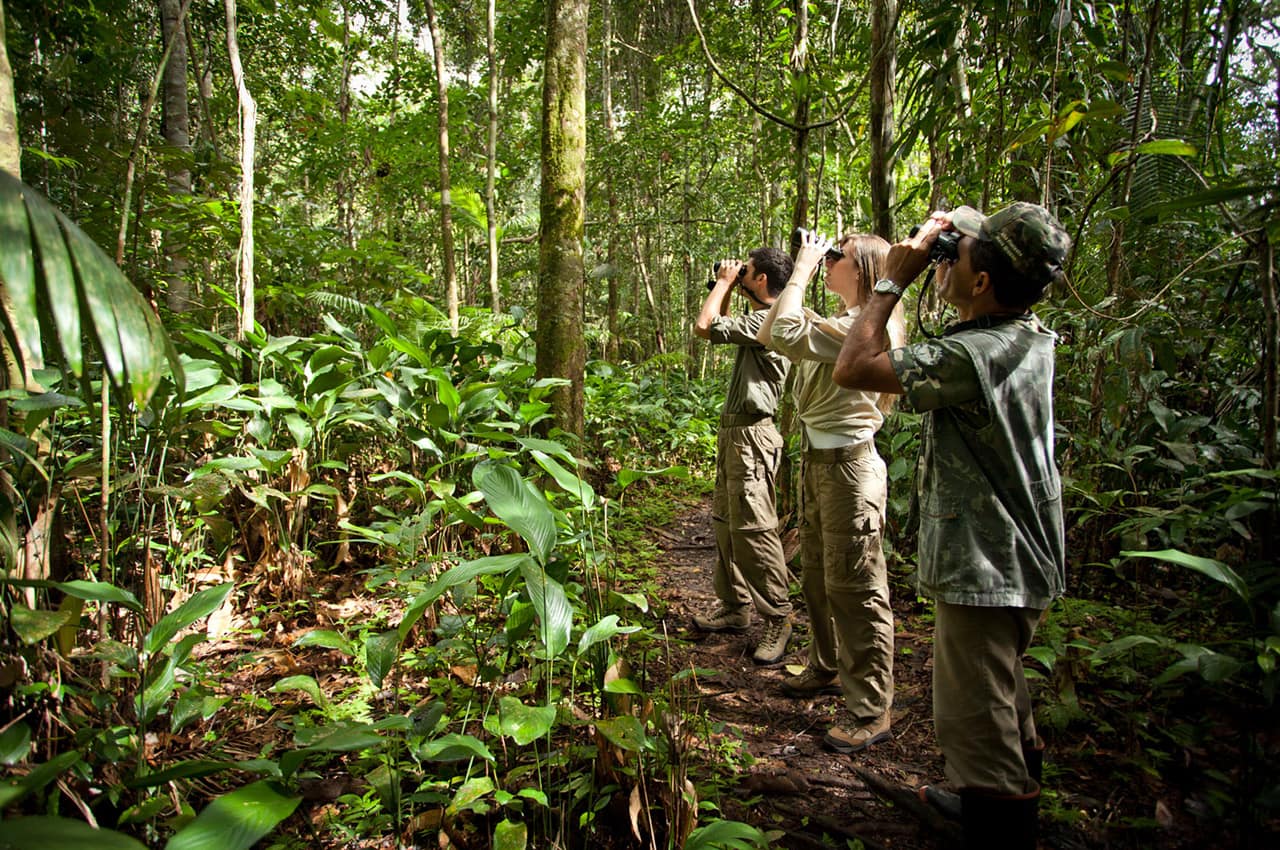 Cristalino lodge trilha
