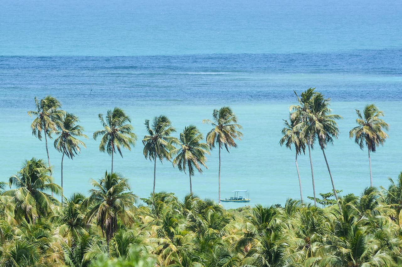 Mtur alagoas sao miguel dos milagres praia do toque vista marco ankosqui