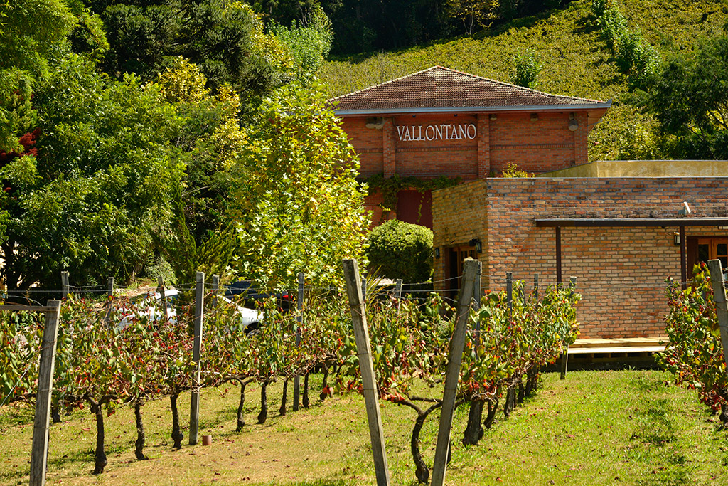 Mtur bento goncalves rs vale dos vinhedos renatosoares