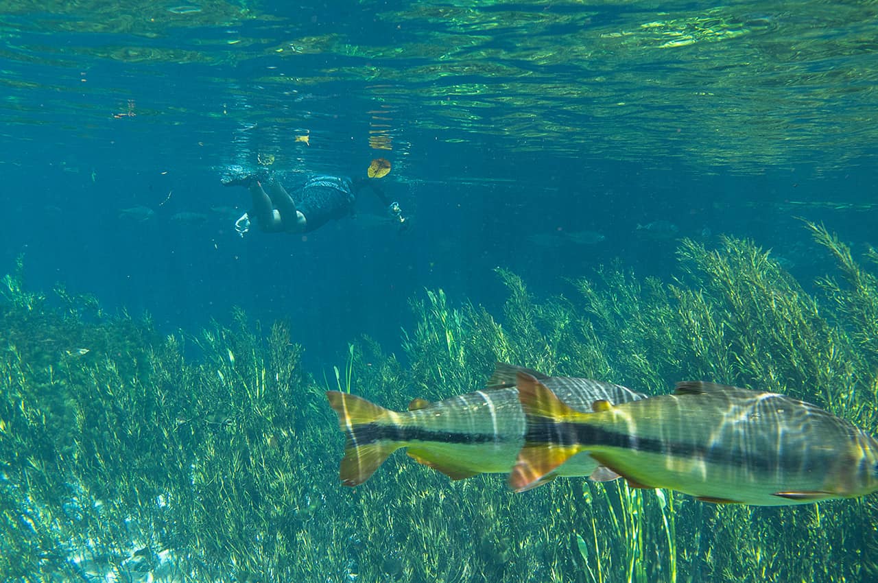 Mtur mato grosso do sul bonito nascente azul pessoa flavio andre