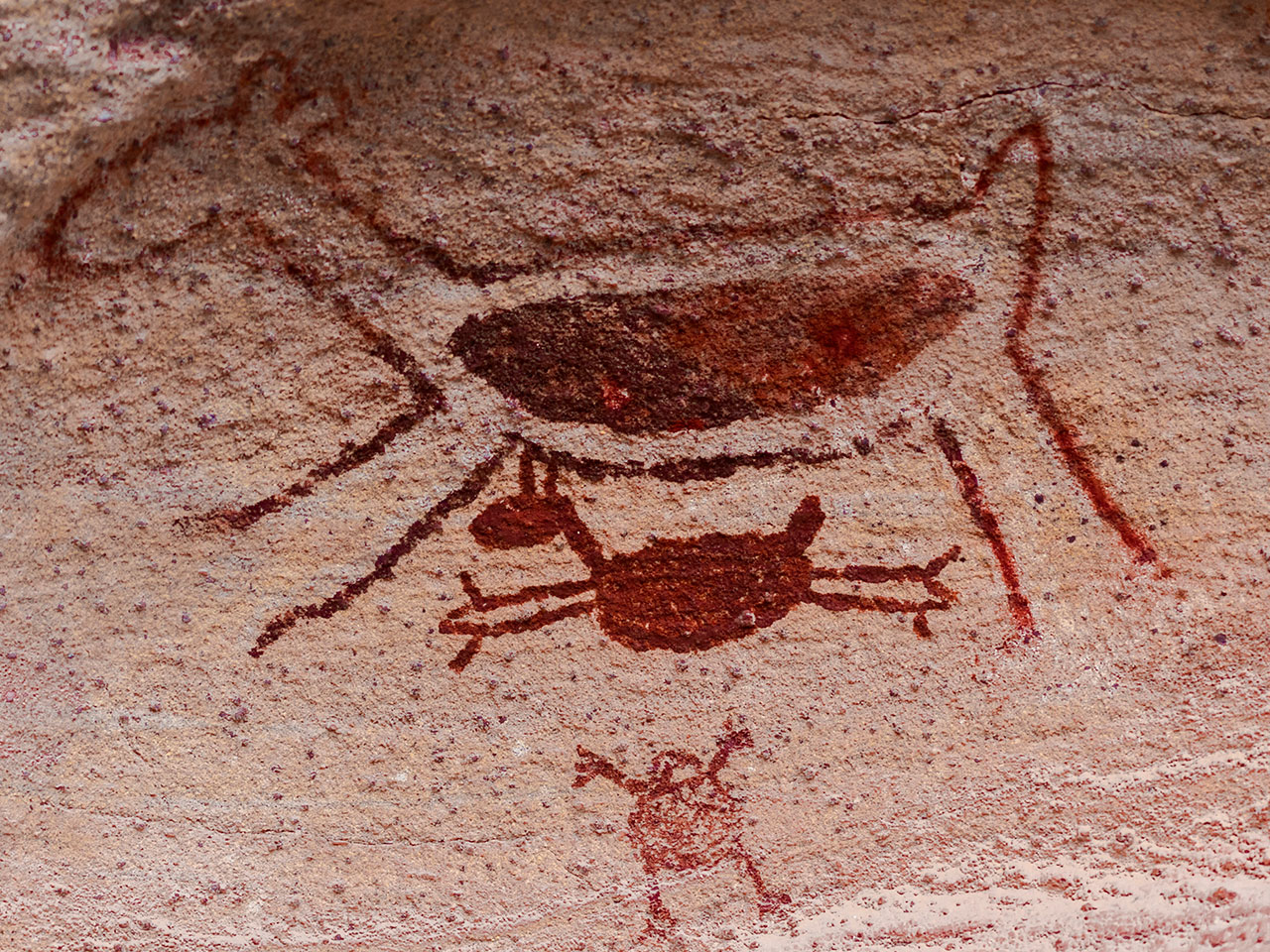 Serra da capivara brasil piaui pinturas pre historicas close up