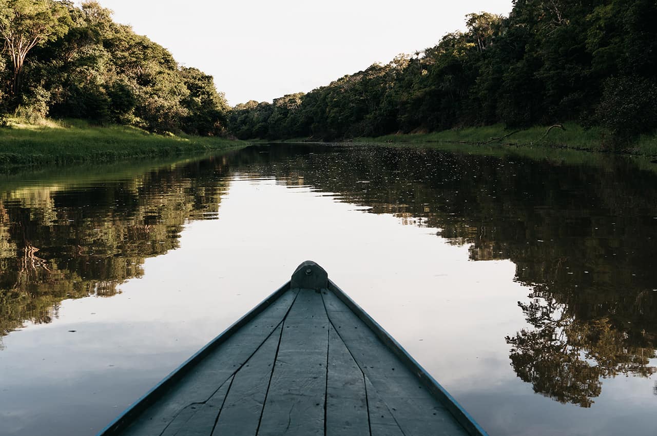 Untamed amazon passeio