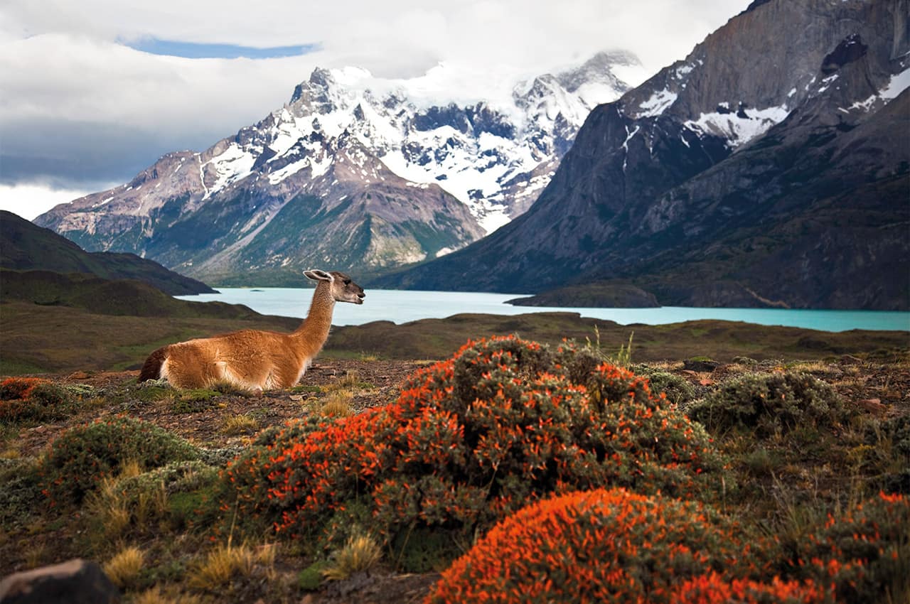 Chile_Parque puerto natales