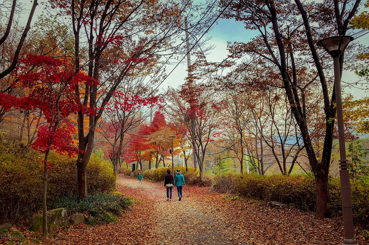 Coreiadosul daegu parque