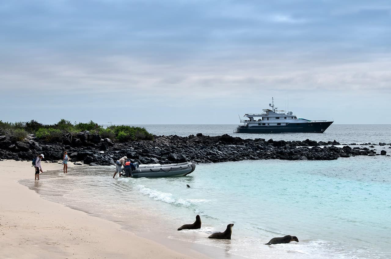 Galapagos andbeyond galapagos explorer vida selvagem