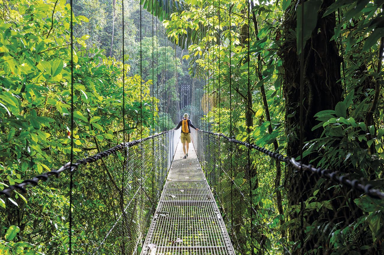 Costa rica selva tropical verde