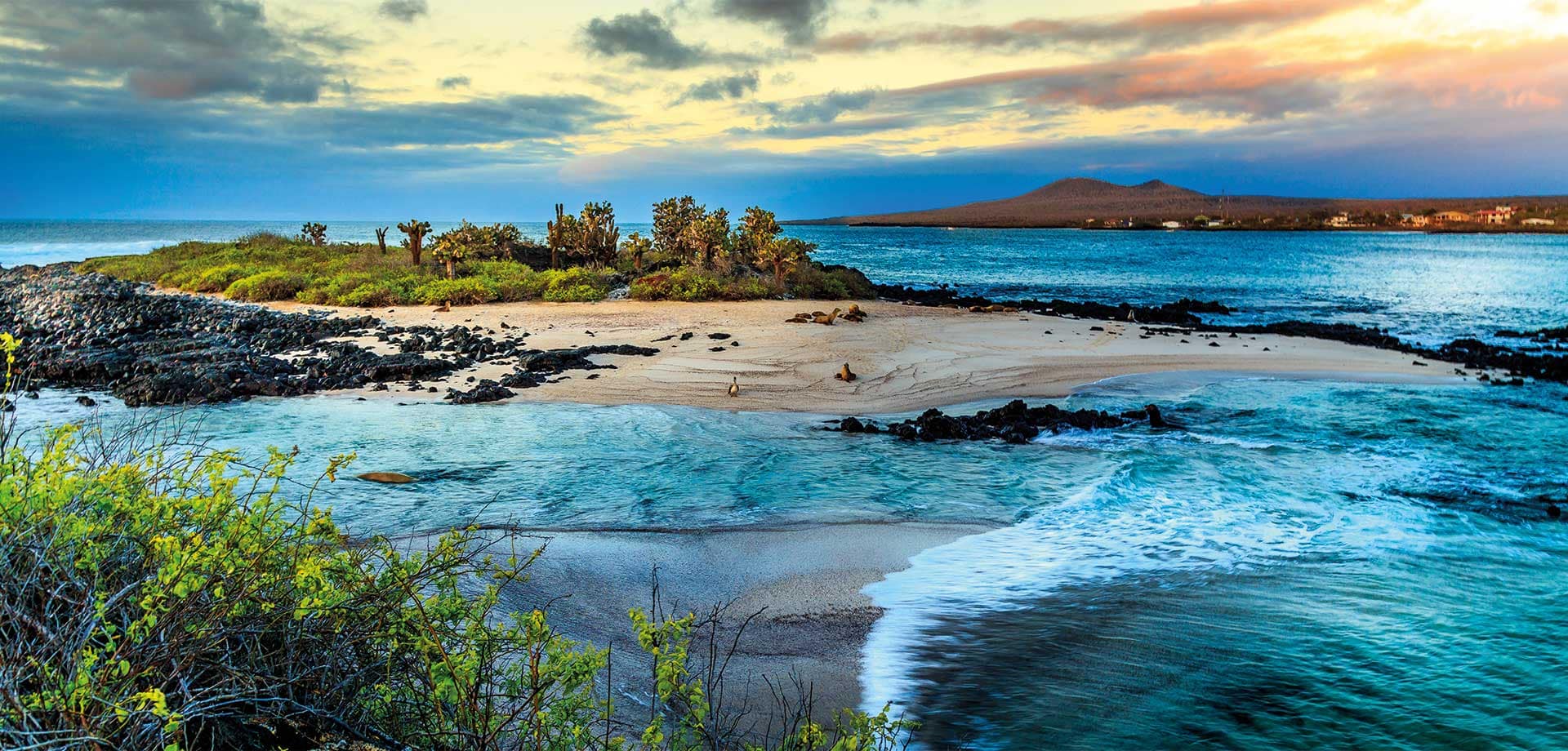 Banner galapagos