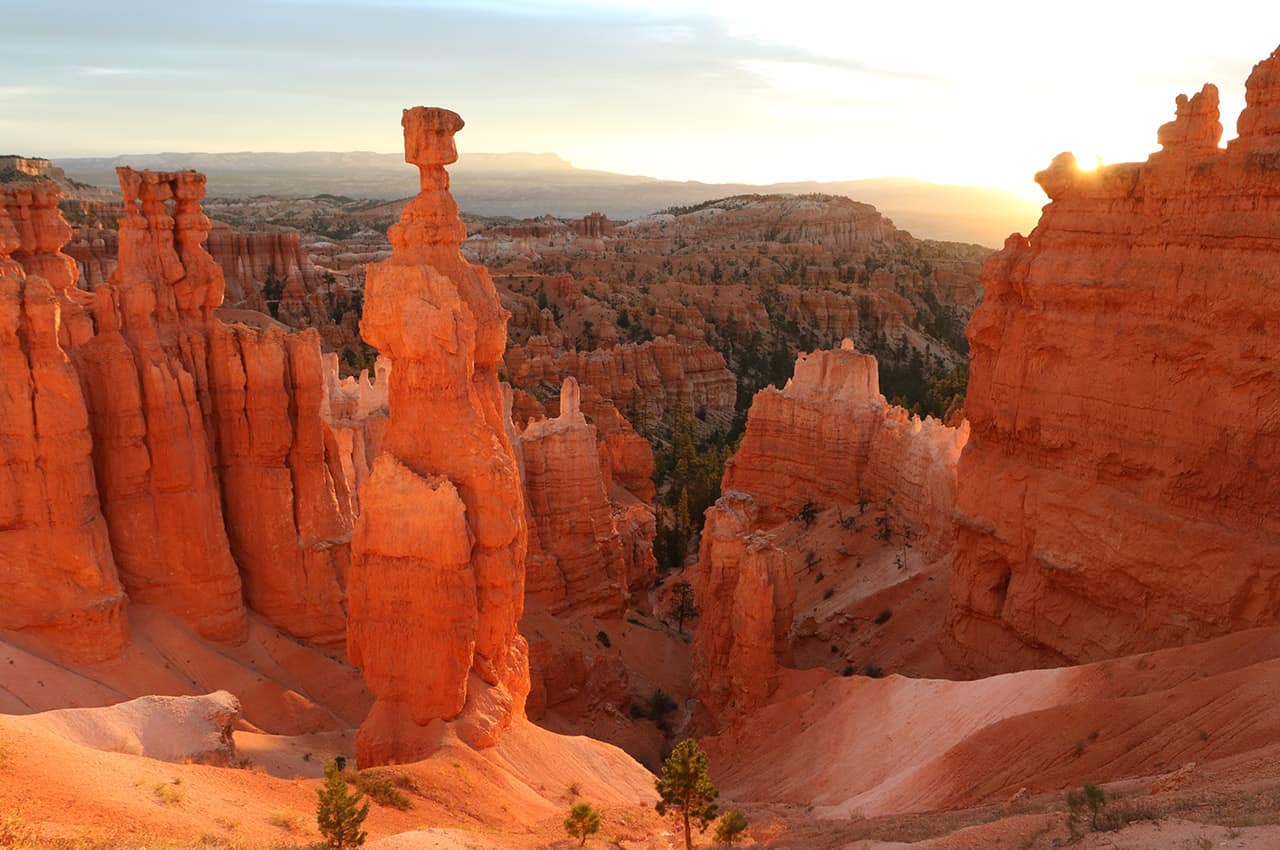 Brandusa bryce canyon national park