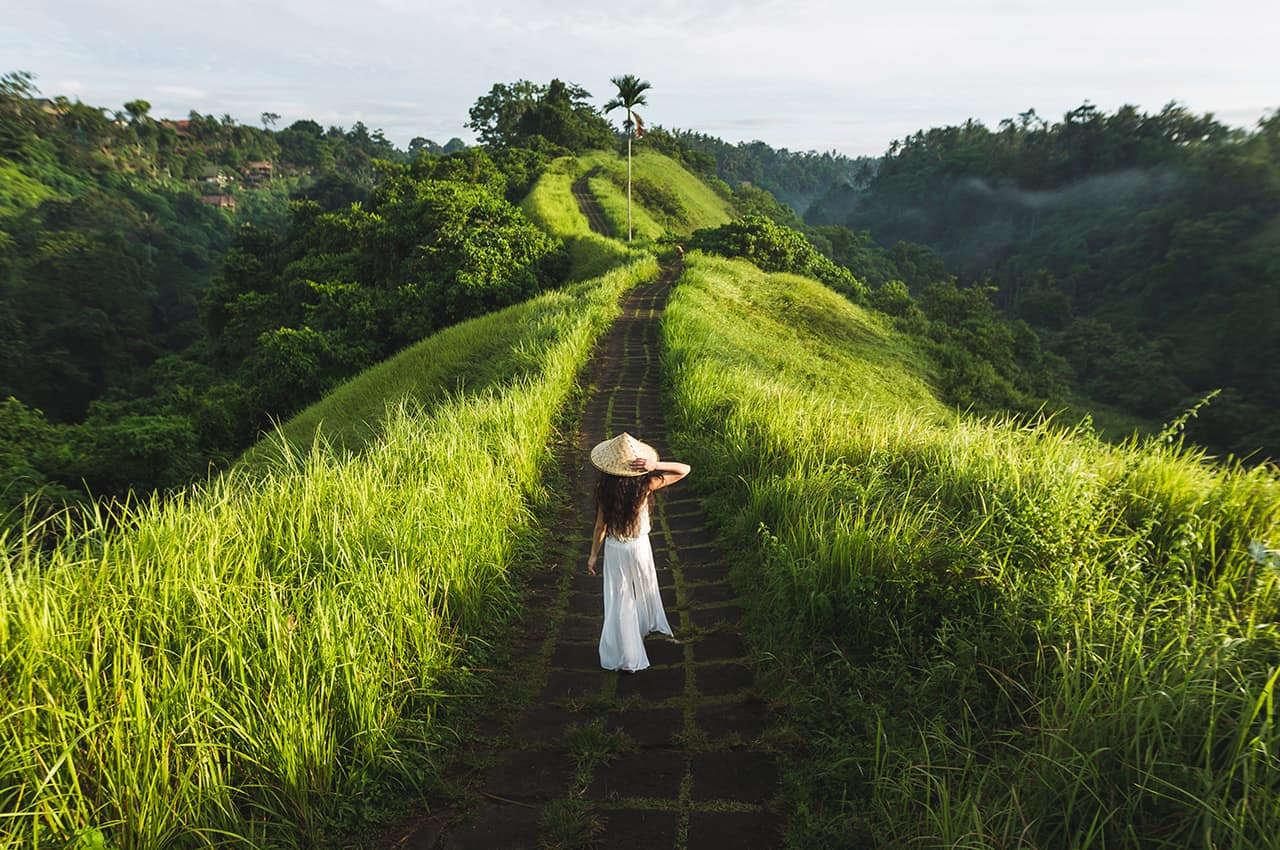 Indonesia ubud campo de arros