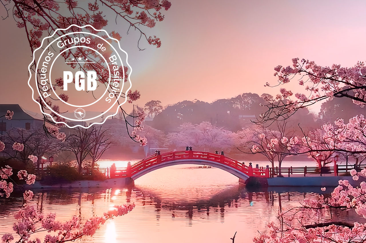 Japao cerejeira pgb ponte