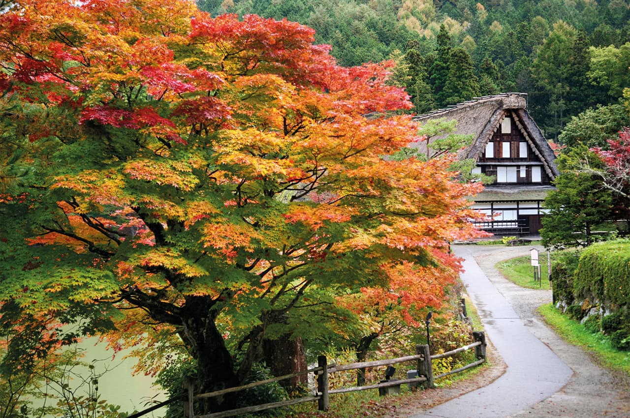 Takayama