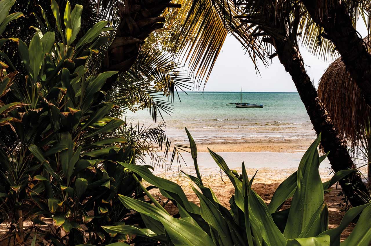 Benguerra mocambique