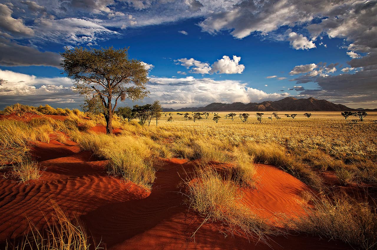 Deserto